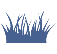 icon landscape