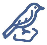 icon bird